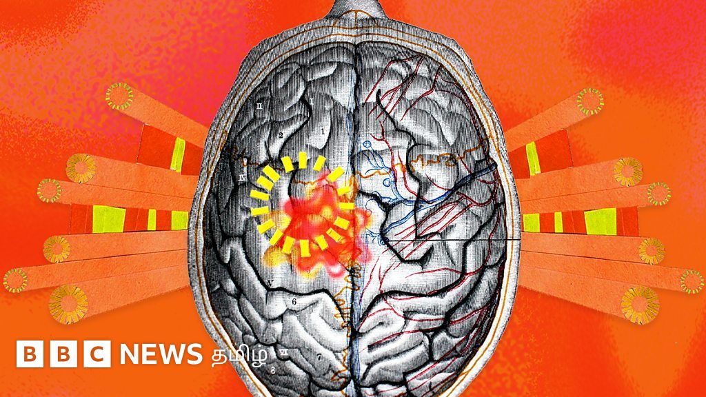 பூமி சூடாவது நமது மூளையை எப்படி பாதிக்கிறது?