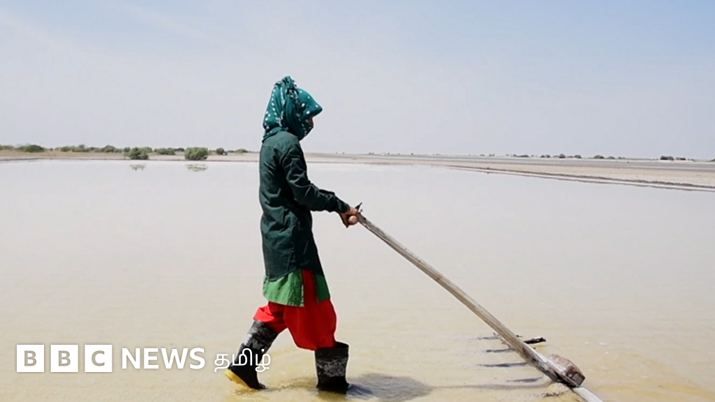 குஜராத்தின் உப்பு உற்பத்தி செய்யும் முதல் தலைமுறை பெண் வாக்களர்களின் கோரிக்கை என்ன?