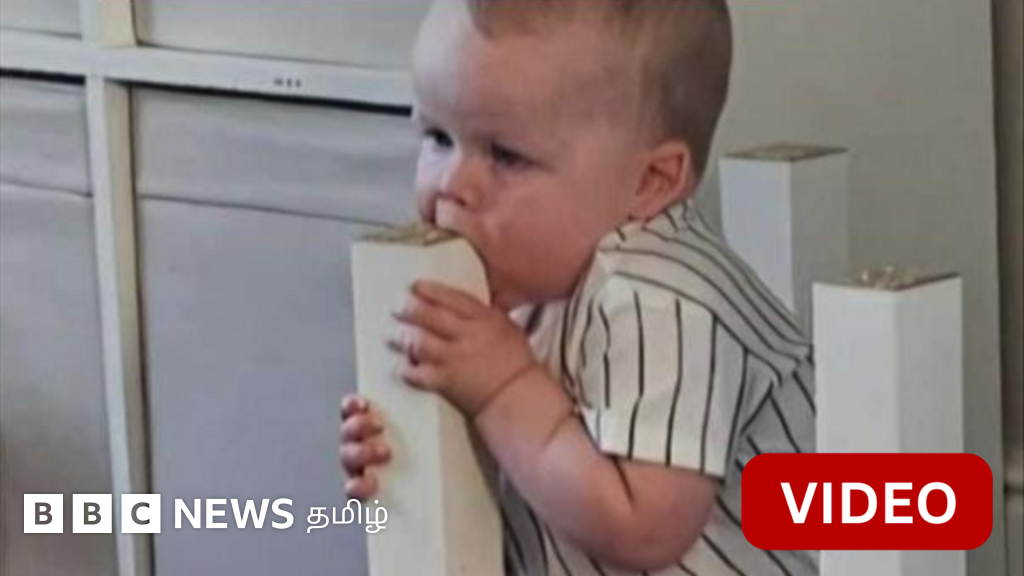 காணொளி: பார்வையில் படும் அனைத்தையும் சாப்பிடத் துடிக்கும் குழந்தை
