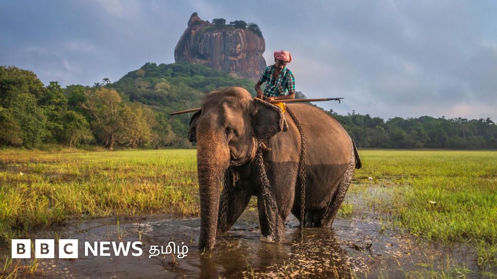 இலங்கை சுற்றுலா: குறைந்த செலவில் செல்ல விரும்புவோர் அவசியம் அறிய வேண்டிய தகவல்கள்