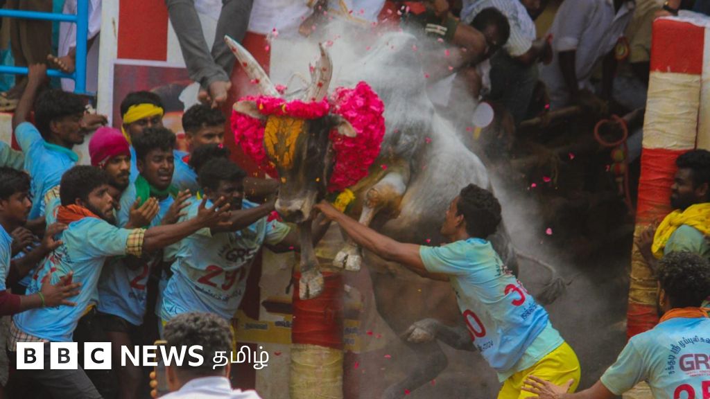 ஜல்லிக்கட்டு களத்தில் வீரர்களை பதறச் செய்யும் இந்த 6 காளைகள் பற்றி தெரியுமா? 