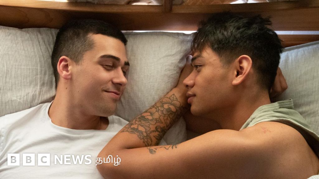 ஆணும் ஆணும் சேர்ந்து குழந்தை பெற முடியுமா? ஆண் எலியின் உயிரணுக்களில் இருந்து கருமுட்டை தயாரித்த விஞ்ஞானி