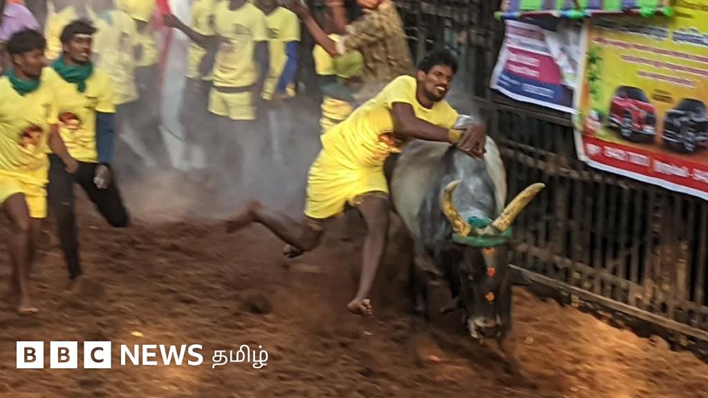 திருநங்கை கீர்த்தனாவின் காளையிடம் திணறிய மாடுபிடி வீரர்கள் - அவனியாபுரம் ஜல்லிக்கட்டு