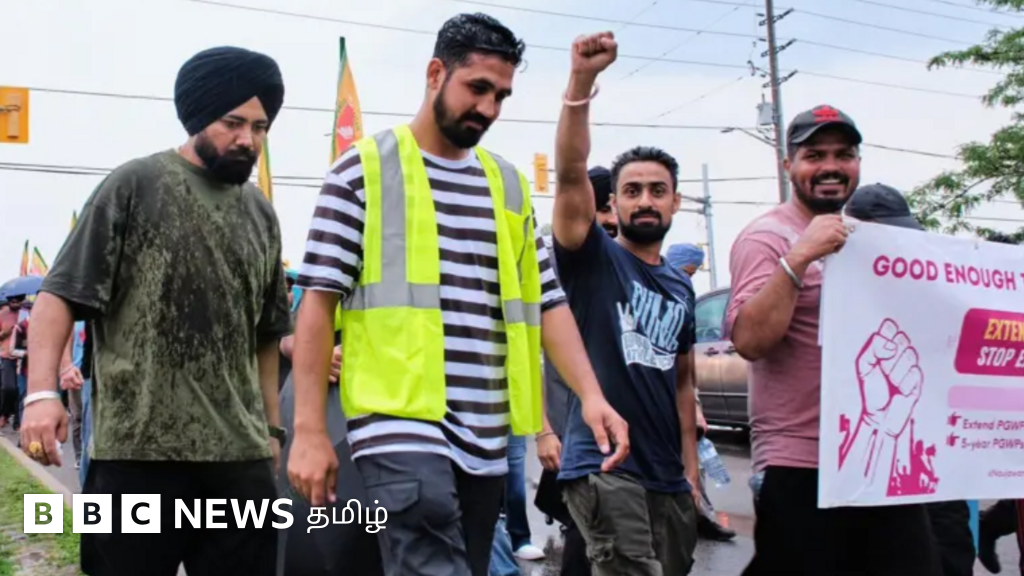 பணி அனுமதியும் இல்லை, குடியுரிமையும் இல்லை - கனடாவில் இருக்கும் இந்திய மாணவர்களின் நிலை என்ன?