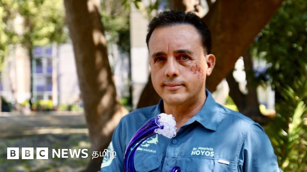 சுறாவின் வாயில் சிக்கி உயிருடன் மீண்ட ஆய்வாளர் அதை மீண்டும் சந்திக்க ஆவல் - என்ன நடந்தது? 