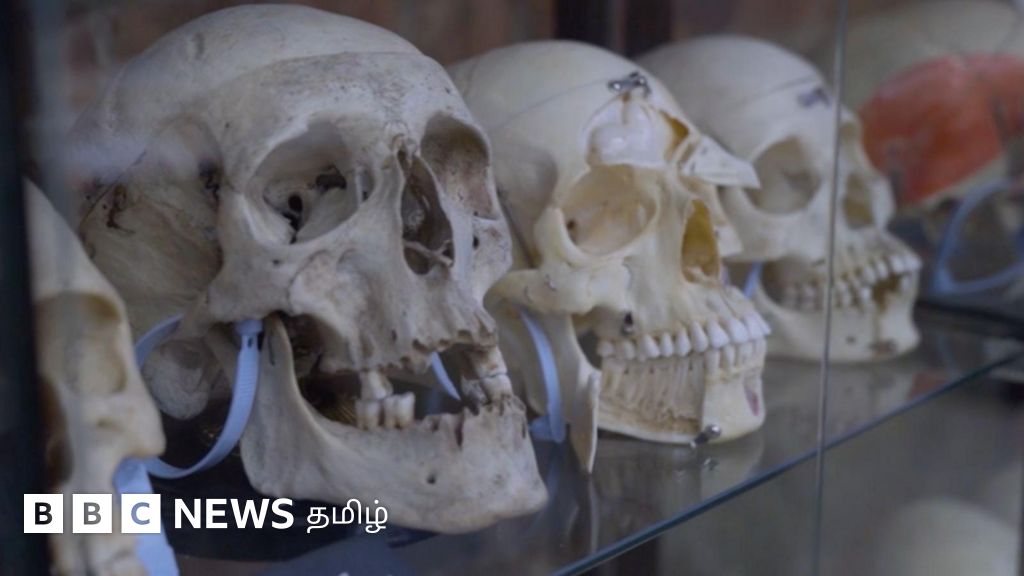 இந்திய வணிகர் கிடங்கில் மீட்ட 1,500 குழந்தைகளின் எலும்புக் கூடுகள் - மருத்துவ உலகை புரட்டிப்போட்ட சம்பவம்