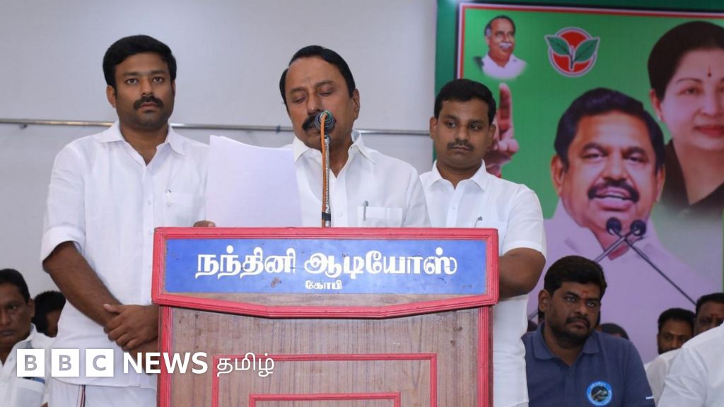 செங்கோட்டையன் நீக்கப்பட்டதால் அதிமுகவுக்கு என்ன பாதிப்பு?