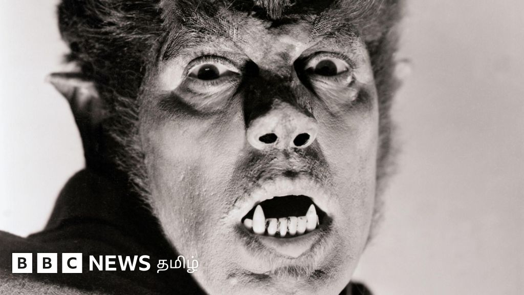 முழுநிலவு நாளில் மனிதர்கள் ஓநாயாக மாறினார்களா? - புனைவுகளும் உண்மையும் என்ன?