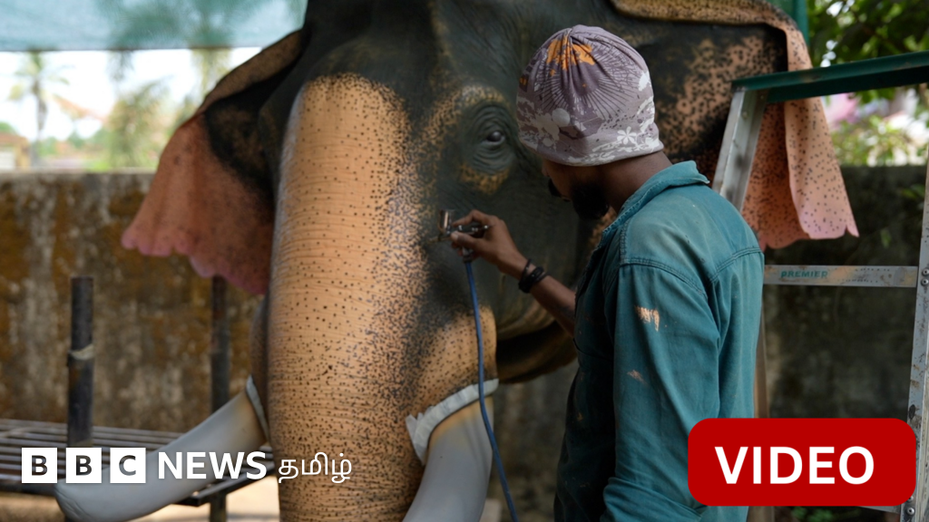 காணொளி: கேரள கோவில்களில் பக்தர்களை ஆசிர்வதிக்கும் ரோபோ யானைகள்