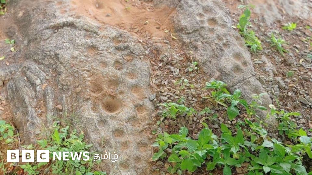 பழனியில் கண்டுபிடிக்கப்பட்ட 4 லட்சம் ஆண்டுகளுக்கு முந்தைய கல்லாங்குழிகள் கூறும் வரலாறு