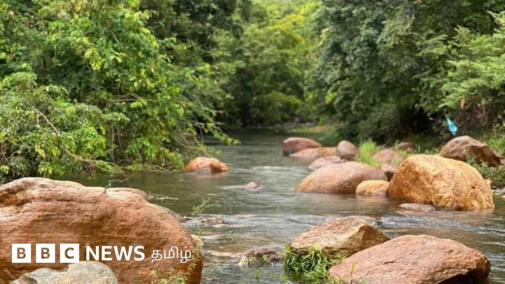 மாஞ்சோலை முதல் அத்ரிமலை வரை: நெல்லை, தென்காசி மாவட்டங்களில் அறியப்படாத சுற்றுலாத் தலங்கள்