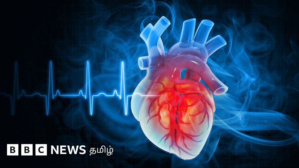 கொலஸ்ட்ரால் சரியாக இருந்தாலும் மாரடைப்பு வரலாம் - குளிர் காலத்தில் மாரடைப்பு அபாயம் அதிகரிப்பது ஏன்?