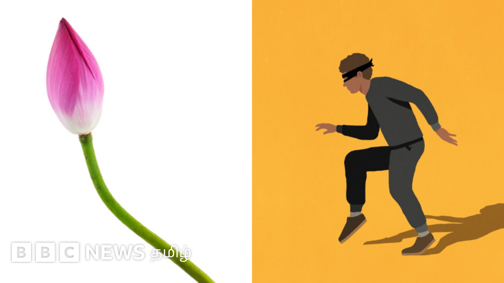 'சாமி' பாணியில் நீருக்கடியில் தாமரை தண்டு மூலம் சுவாசித்து 5 மணி நேரம் பதுங்கியிருந்த திருடன் - பிடிபட்டது எப்படி?