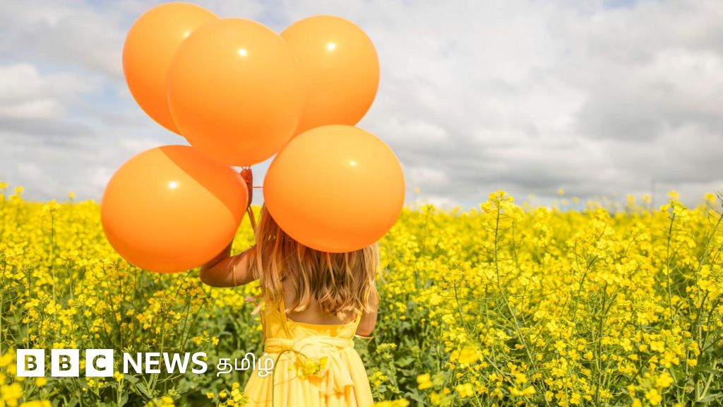 இலங்கை: தலைமன்னாரில் காணாமல் போன 10 வயது சிறுமி சடலமாக மீட்பு - என்ன நடந்தது?