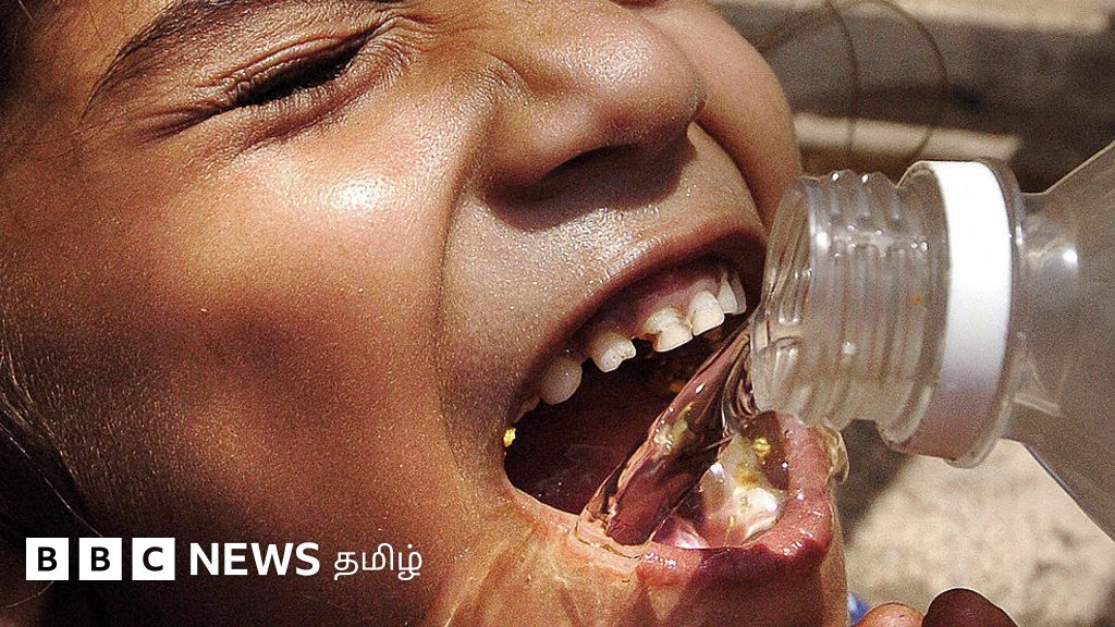 இந்தியாவில் கொதிக்கும் வெயிலுக்கு பறிபோகும் உயிர்கள் – மக்கள் இதை தீவிரமாக எடுத்துக் கொள்ளாதது ஏன்?