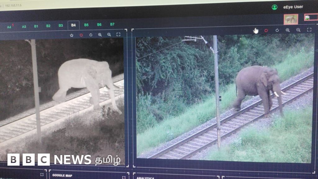 கோவை: யானைகள் ரயில் விபத்தில் சிக்காமல் தடுக்கும் அதிநவீன AI கேமரா - பிபிசி தமிழின் நேரடி விசிட்