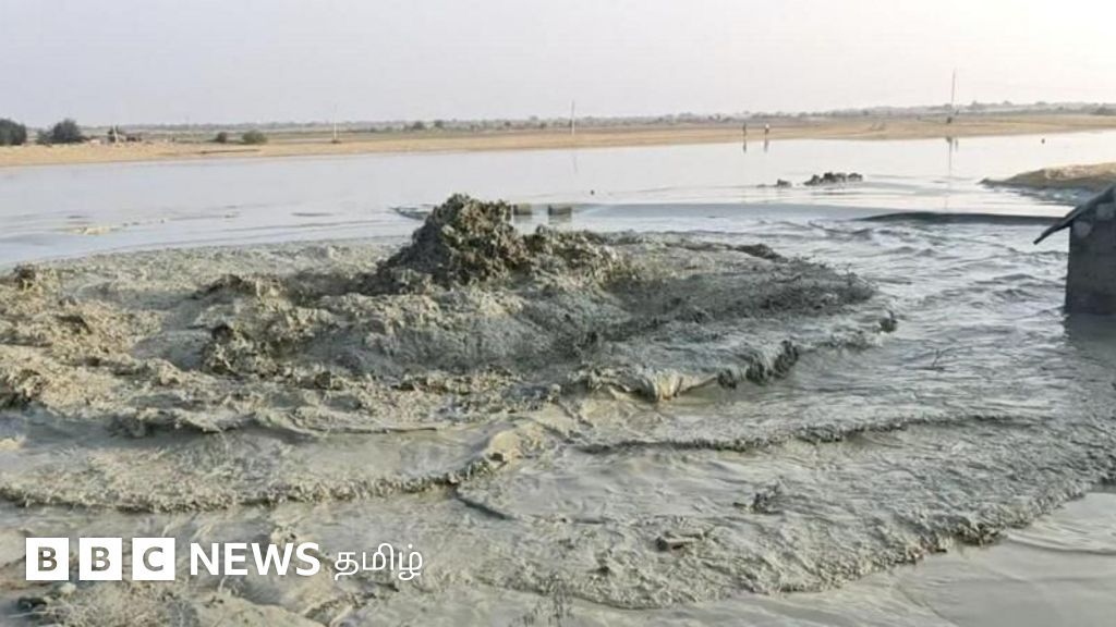 ராஜஸ்தானில் சரஸ்வதி நதி வெளிப்பட்டதா? நிலத்தடியில் திடீரென உருவான நீரூற்றின் பின்னணி