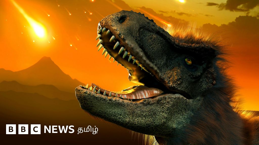 டைனோசர்களை அழித்தொழித்த விண்கல் மோதல் - மீண்டும் பூமியில் நிகழுமா?