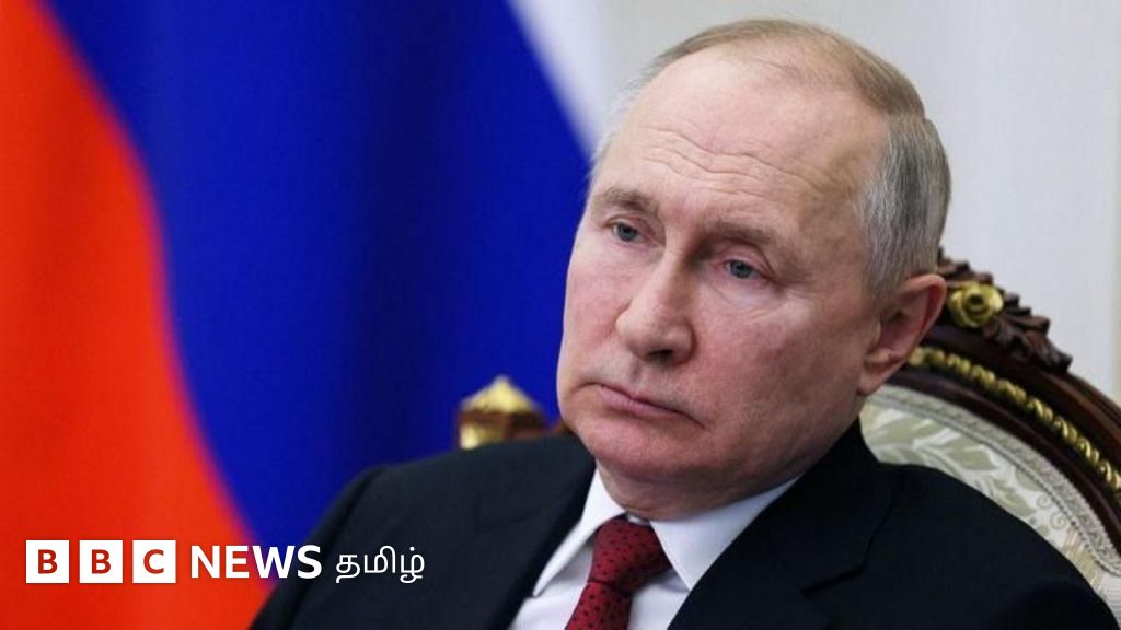 ரஷ்ய அதிபர் தேர்தல்: விளாதிமிர் புதினை கண்டு மக்கள் அஞ்சுகிறார்களா? நிலவரம் என்ன?
