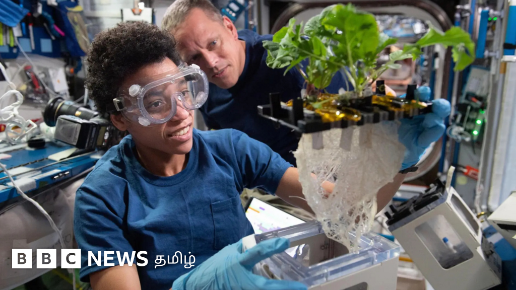 பூமியை விட விண்வெளியில் தாவரங்கள் வேகமாக வளர்வது ஏன்? 