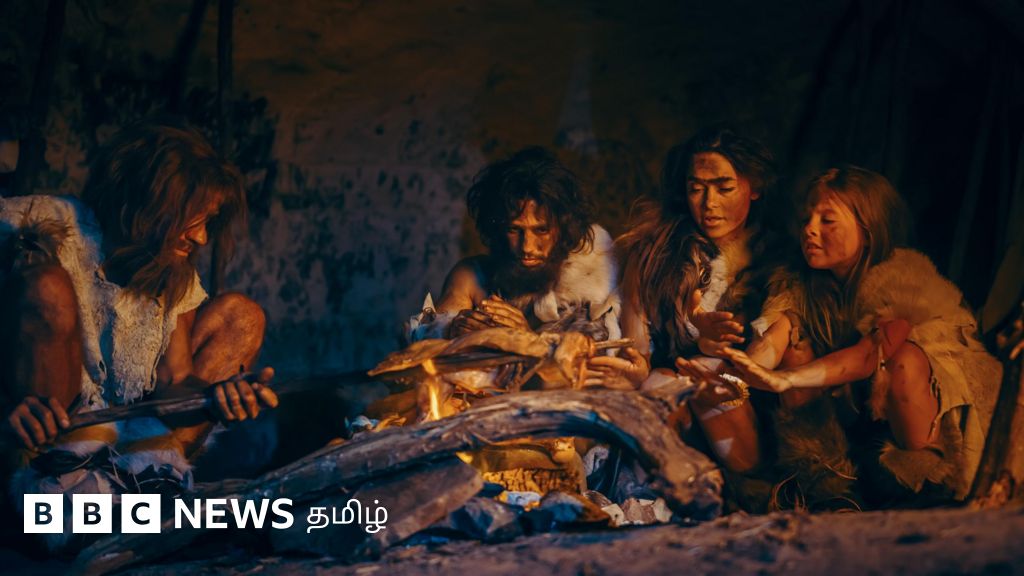 ‘பேலியோ டயட்’ ஆதிமனித உணவுப்பழக்கமா? ஆய்வுகள் சொல்லும் உண்மைகள்