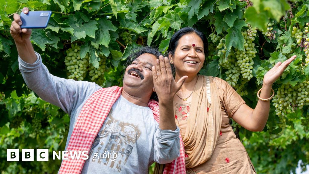 சமூக ஊடகத்தில் முழு நேரமாக வேலை செய்து பணம் சம்பாதிக்க இருக்கும் எளிய வாய்ப்புகள்