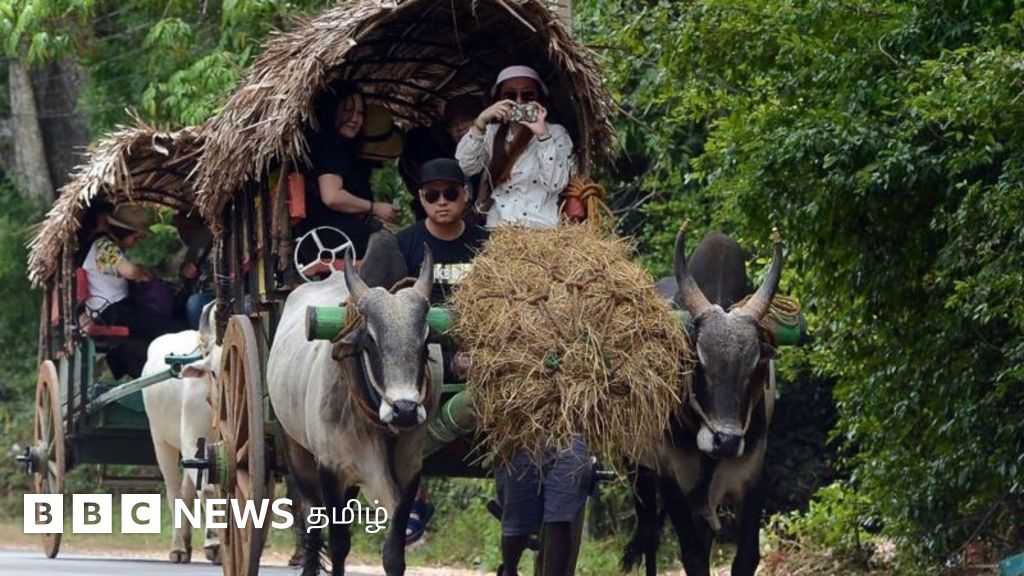 இலங்கையில் மீண்டும் அதிகரிக்கும் சுற்றுலாப் பயணிகள் வருகை: வளர்ச்சிக்கு உதவுமா?