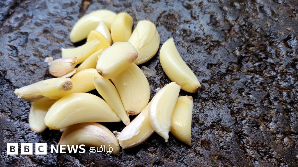 உடல்நலம்: பூண்டு சாப்பிடுவதால் உடலில் ஏற்படும் நன்மைகள் - நிபுணர்கள் விளக்கம்