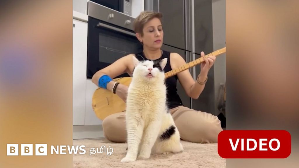 பாரம்பரிய இசையை மெய்மறந்து ரசிக்கும் மாற்றுத் திறனாளி பூனை