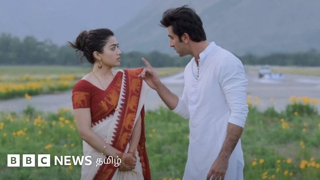 அனிமல் திரைப்படத்தில் அப்படி என்னதான் பிரச்னை? ஏன் இவ்வளவு விமர்சிக்கப் படுகிறது? – காணொளி