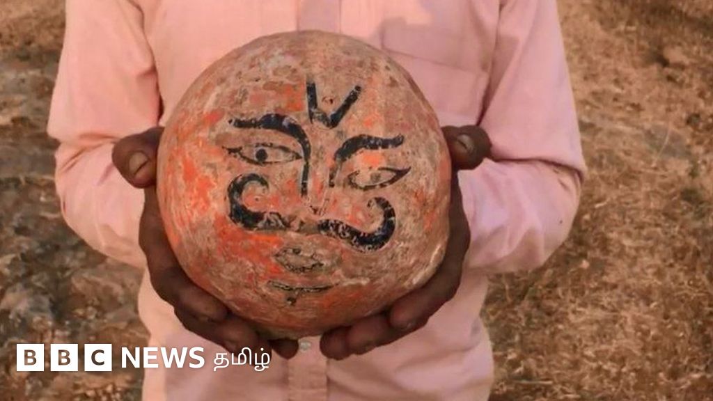 இந்தியாவின் 'ஜுராசிக் பார்க்': டைனோசர் முட்டைகளை சிவலிங்கமாகக் கருதி வழிபடும் கிராமம்