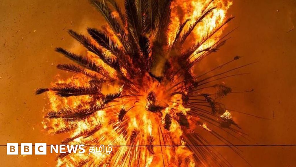 லாஸ் ஏஞ்சலிஸ் காட்டுத்தீ வேகமாகப் பரவியது எப்படி? எளிதாக விளக்கும் ஐந்து புகைப்படங்கள்