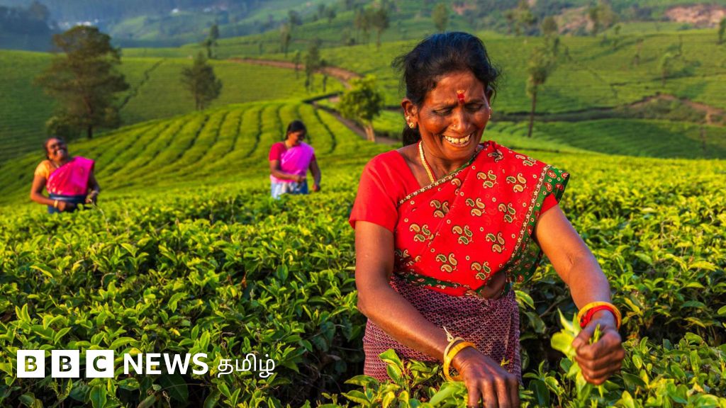 'ரேஷன் கார்டில் என்ஆர்கே': வாக்குரிமை இருந்தாலும் நலத்திட்டங்களில் சேர முடியவில்லை என கேரளவாழ் தமிழர்கள் குமுறல்