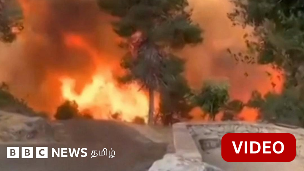 இஸ்ரேலில் பரவிய காட்டுத்தீ - புகைமூட்டமாக காணப்படும் ஜெருசலேம்