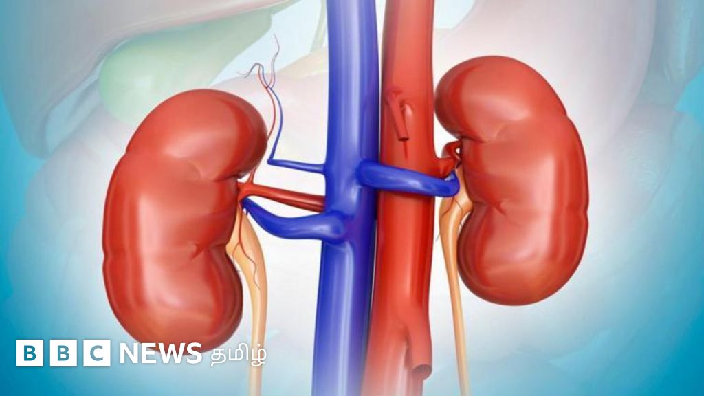 சிறுநீரக நோய் பாதிப்பை உணர்த்தும் 5 அறிகுறிகள்