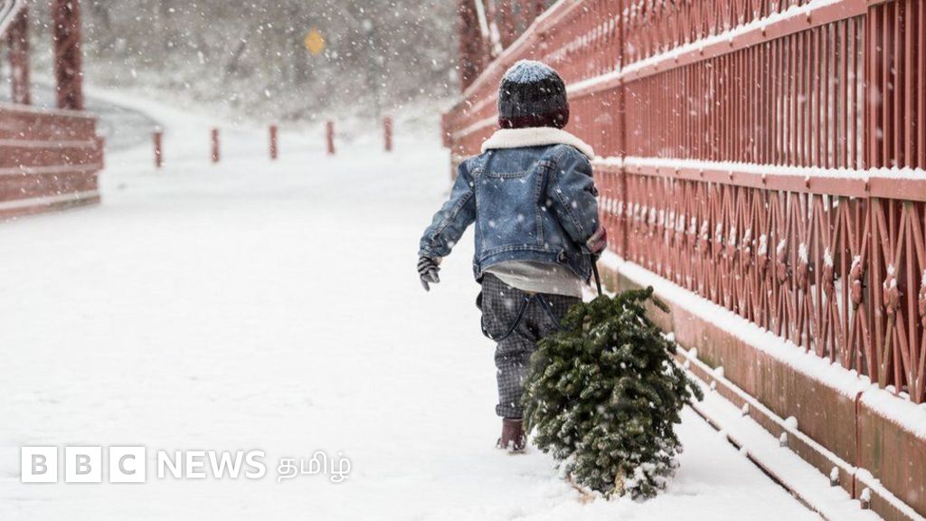 அமெரிக்காவில் உயிர் பலி வாங்கும் பனி: அதிகரிக்கும் மரணங்கள்