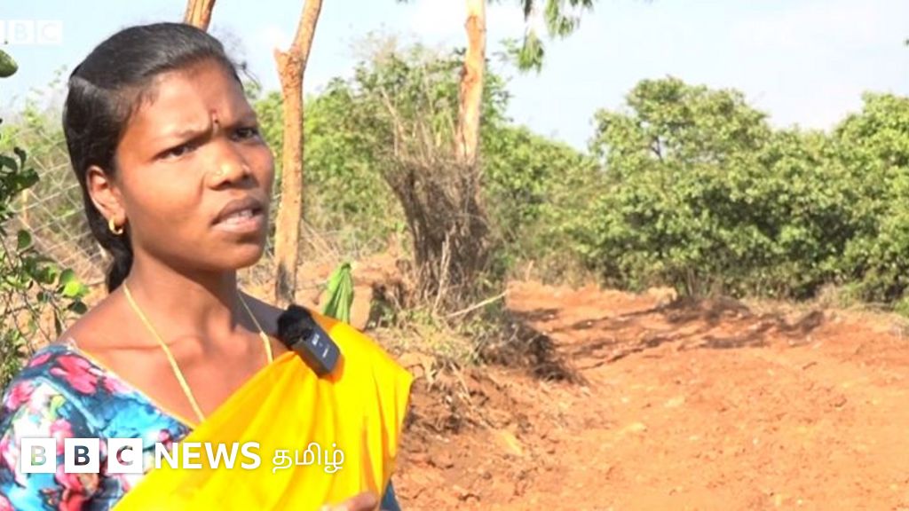 தனி ஆளாக பழங்குடி கிராமத்திற்கு சொந்தப் பணத்தில் சாலை அமைக்கும் பெண் - ஏன் தெரியுமா?