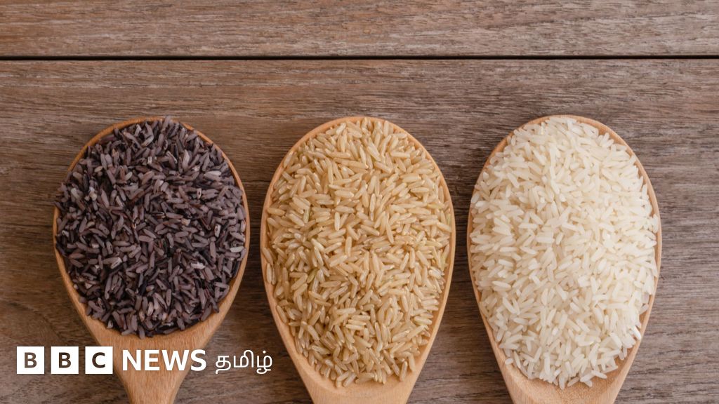 மாப்பிள்ளை சம்பா, கருப்புக் கவுனி, காட்டுயானம் ஆகியவற்றில் எந்த அரிசி உடலுக்கு நல்லது?