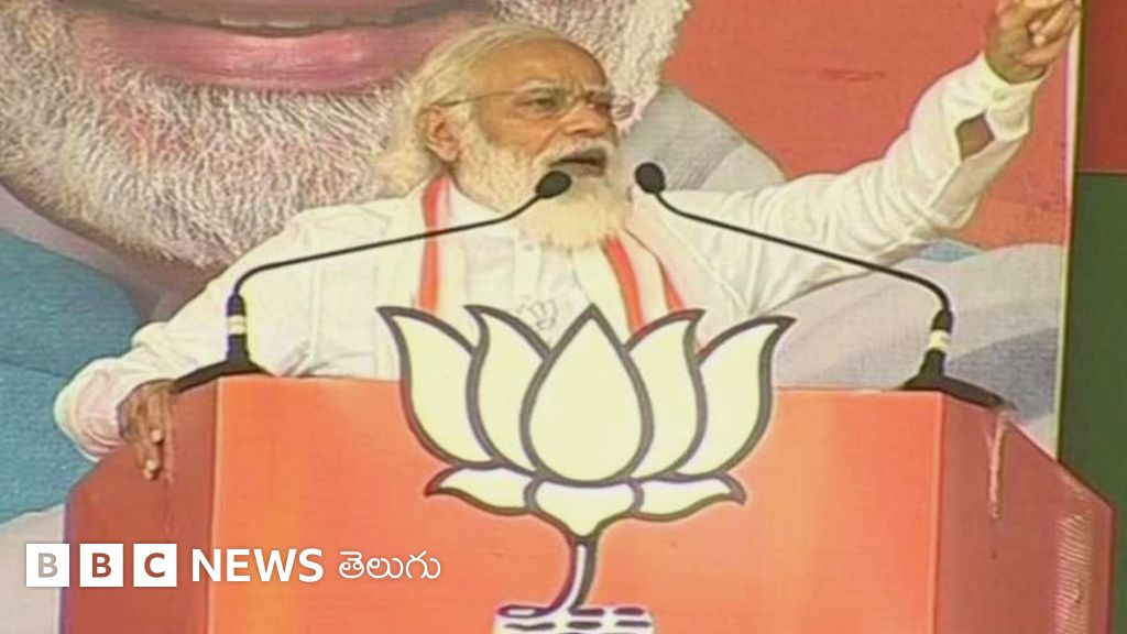 బిహార్ ఎన్నికలు - మోదీ: 'అభివృద్ధి గెలుస్తోంది... ముఠాతత్వం ఓడిపోతోంది' - NewsReel - BBC News తెలుగు