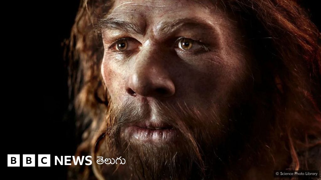 ఆధునిక మానవుడి చేతిలో అంతరించిపోయిన జాతి కథ.. ఒళ్లు గగుర్పొడిచే యుద్ధాలలో ఏం జరిగింది - BBC News తెలుగు