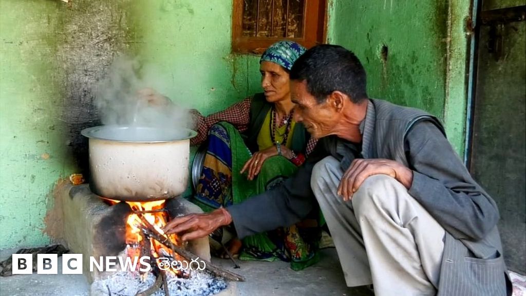 ఉత్తరాఖండ్‌ పనీర్‌ విలేజ్: సంపాదన కోసం ఈ ఊరి వాళ్లు పట్నం వెళ్లరు - BBC News తెలుగు