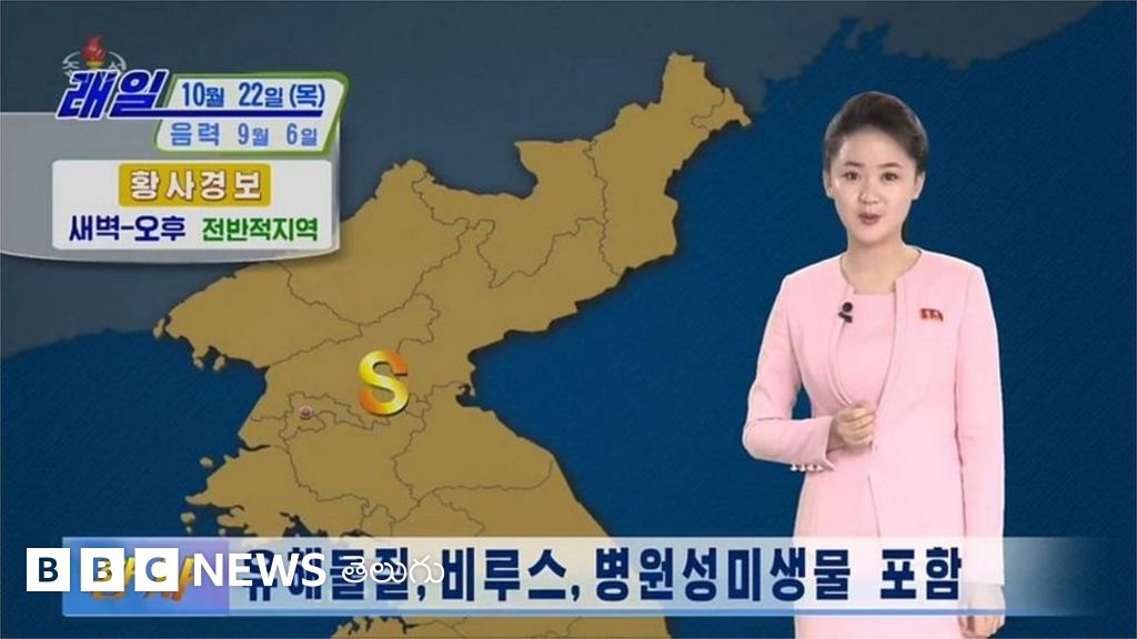 'చైనా దుమ్ముతో కరోనావైరస్ వస్తోంది’ - ఉత్తర కొరియా హెచ్చరికలు - BBC News తెలుగు