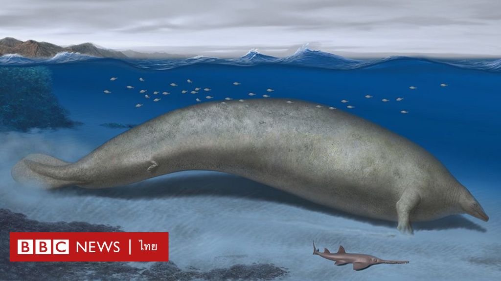 Scientists Discover Perucitas: A Potential World's Heaviest Animal