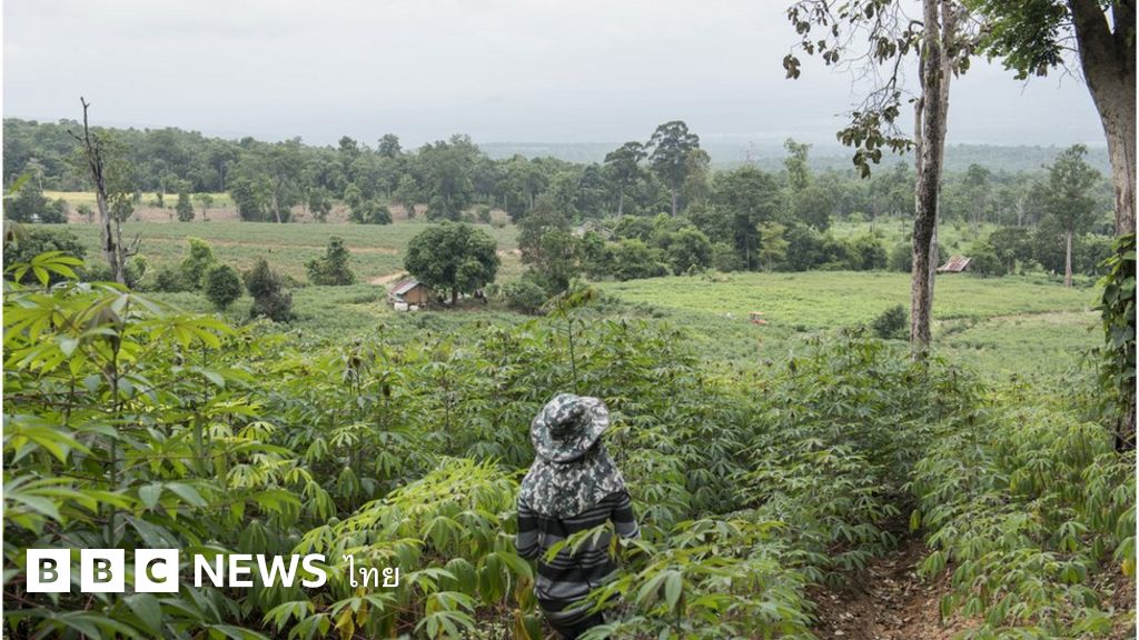 ทวงคืนผืนป่าชัยภูมิ รัฐบาลทหารระรานชาวบ้าน? BBC News ไทย