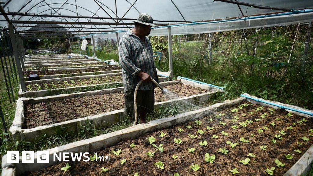ความส ขค อกำไร คต ของชายผ ท ง 1 5 พ นล านเพ อนาสวนใน กทม bbc news ไทย