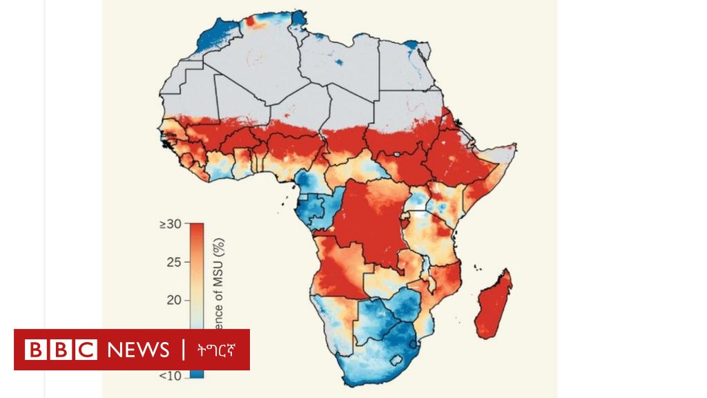 መፅናዕቲ፡ ኣፍሪቃ ብ2030 ውሕስና 'ዝተመጣጠነ-ምግቢ' ኣይተረጋግፅን - BBC News ትግርኛ