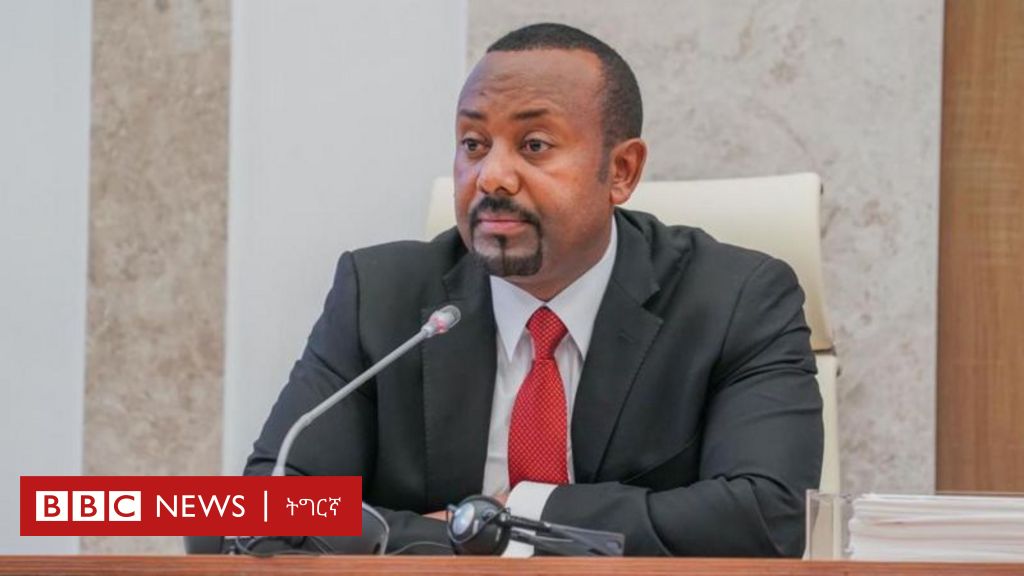 'መንግስቲ ንኢትዮጵያ ከፍርሳ'ዩ ዝብል መግለጺ ዋዛ'ዩ'- ኣብዪ ኣሕመድ - BBC News ትግርኛ