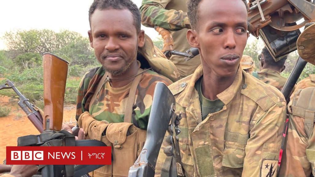 ብኣሜሪካ ዝምወል 'በርቃዊ' ብርጌድ ሶማልያ - BBC News ትግርኛ