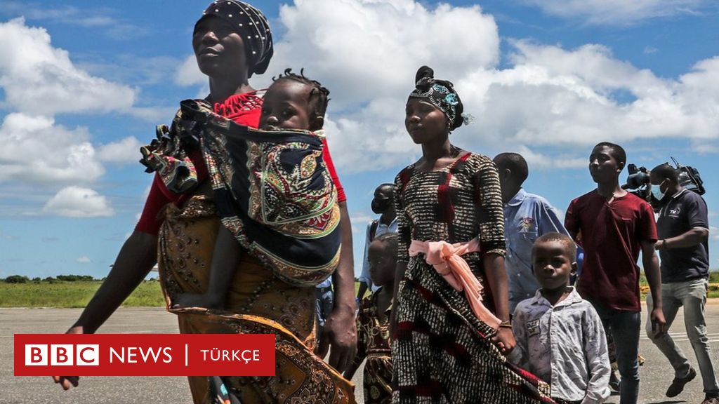 Kaçak avcılar Mozambik'te 'altı yılda 11 bin fil öldürdü' - BBC News Türkçe