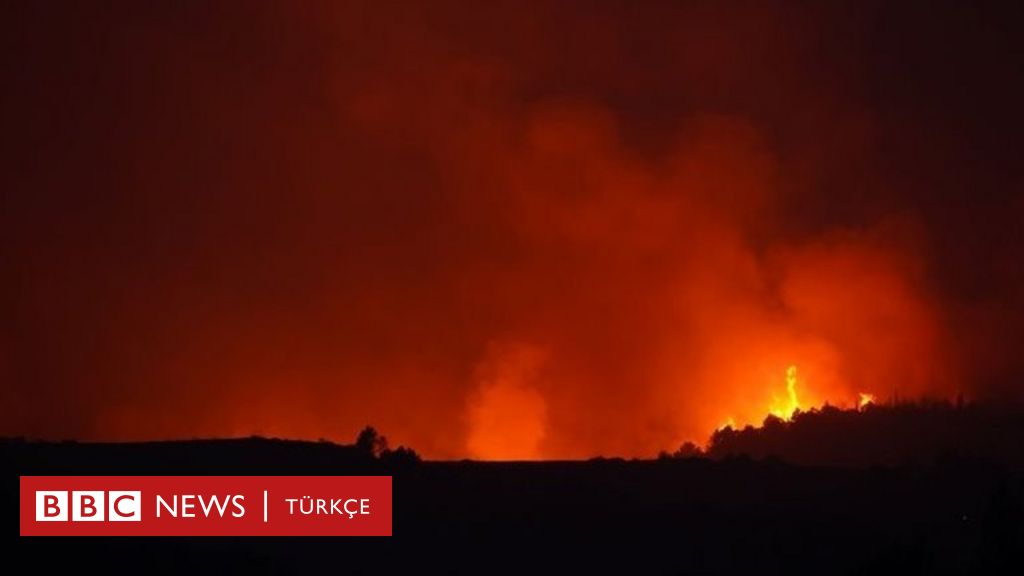 Incendi boschivi in ​​Italia: 3 morti, l'amministrazione calabrese chiede lo stato di emergenza per la regione